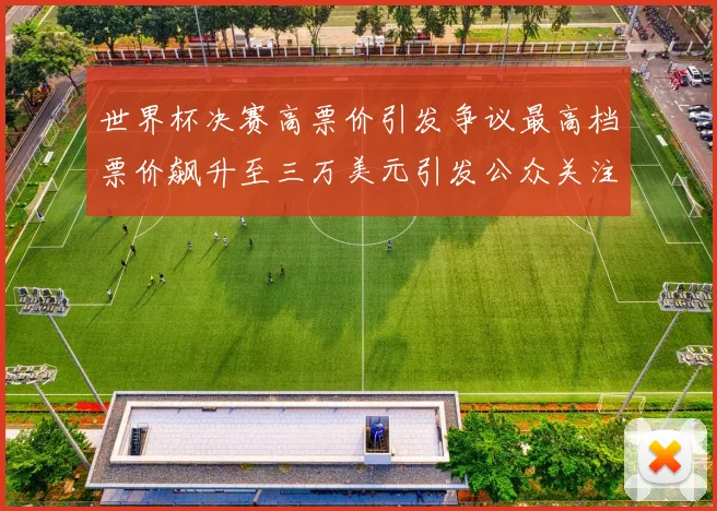 世界杯决赛高票价引发争议最高档票价飙升至三万美元引发公众关注